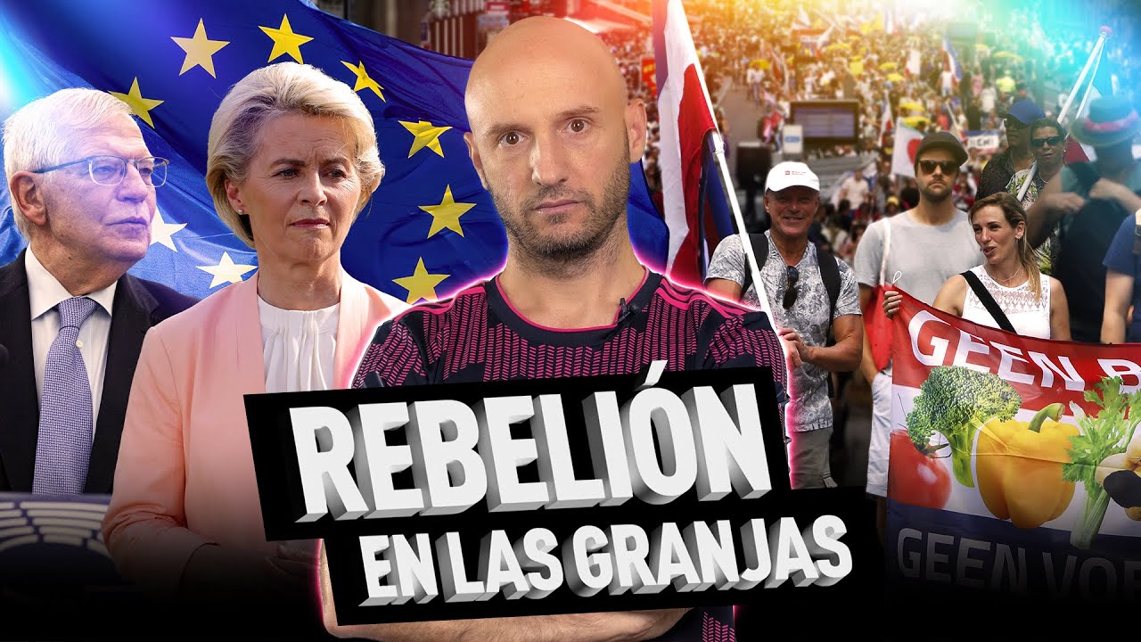 Rebelión en las granjas europeas: ‘transición verde’ y campos 'al rojo vivo' en Países Bajos y otros