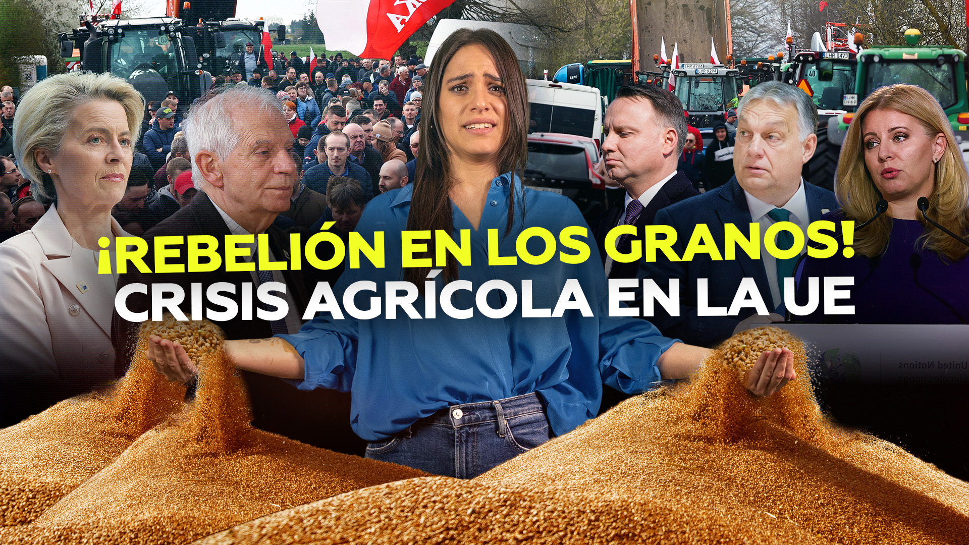Crisis de los granos en la UE: varios países se niegan a importar desde Ucrania
